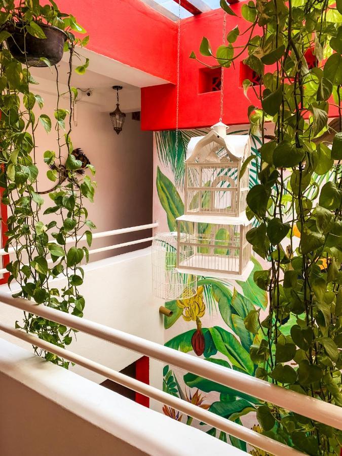 La Iguana Vallarta Lgbt Adults Only - Romantic Zone - Party Clubbing Street プエルトバラータ エクステリア 写真